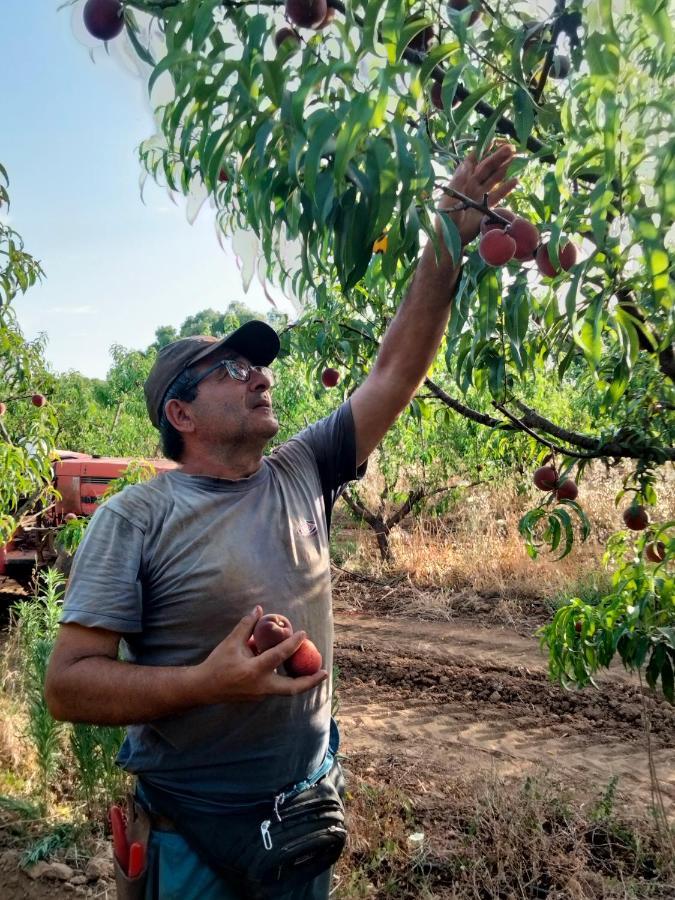Séjour à la ferme I Doni Del Mandorlo *