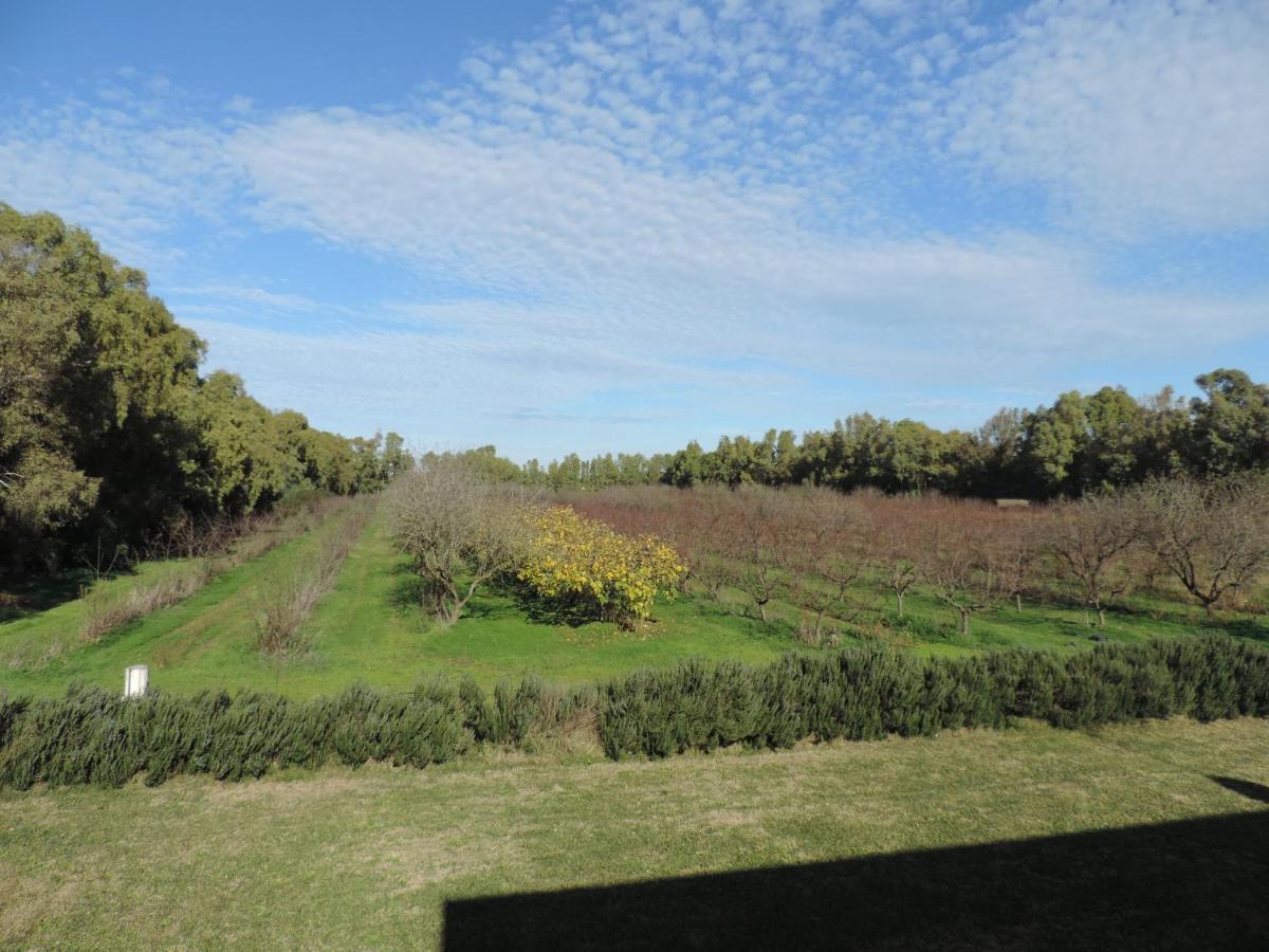 Feriegård I Doni Del Mandorlo